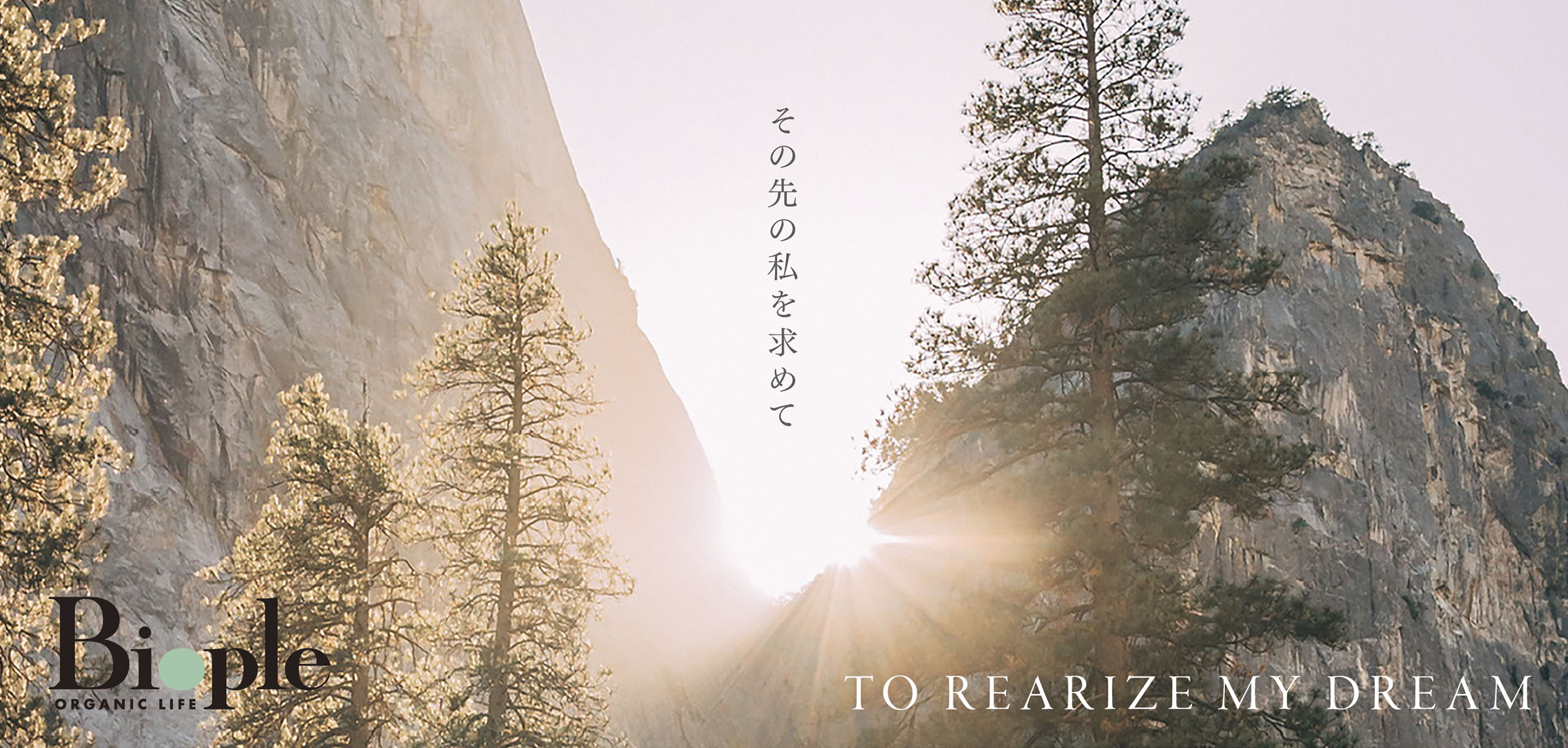 TO REARIZE MY DREAM その先の私を求めて