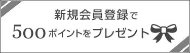 新規登録で500ptプレゼント