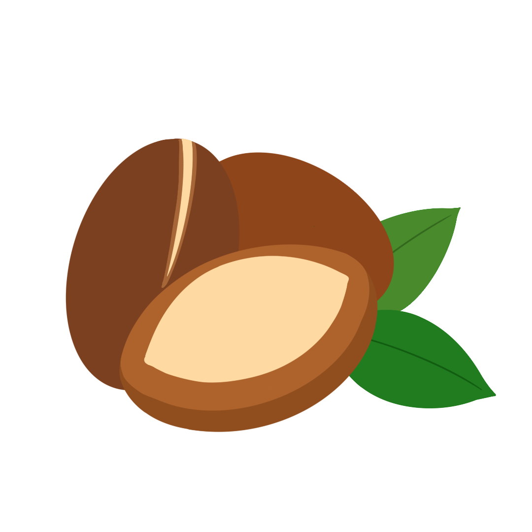 アルガ二アスピノサ核油 イメージ画像