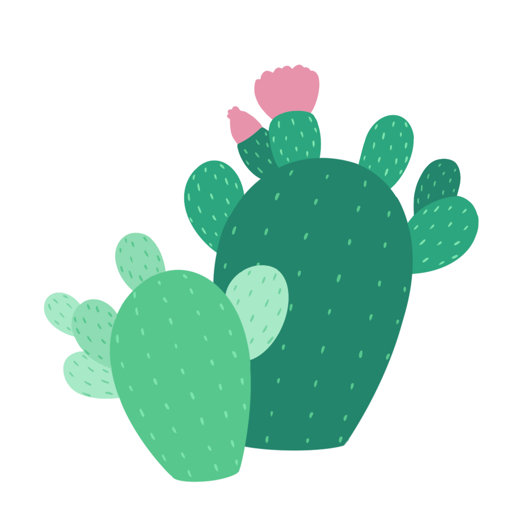 ウチワサボテンオイル イメージ画像