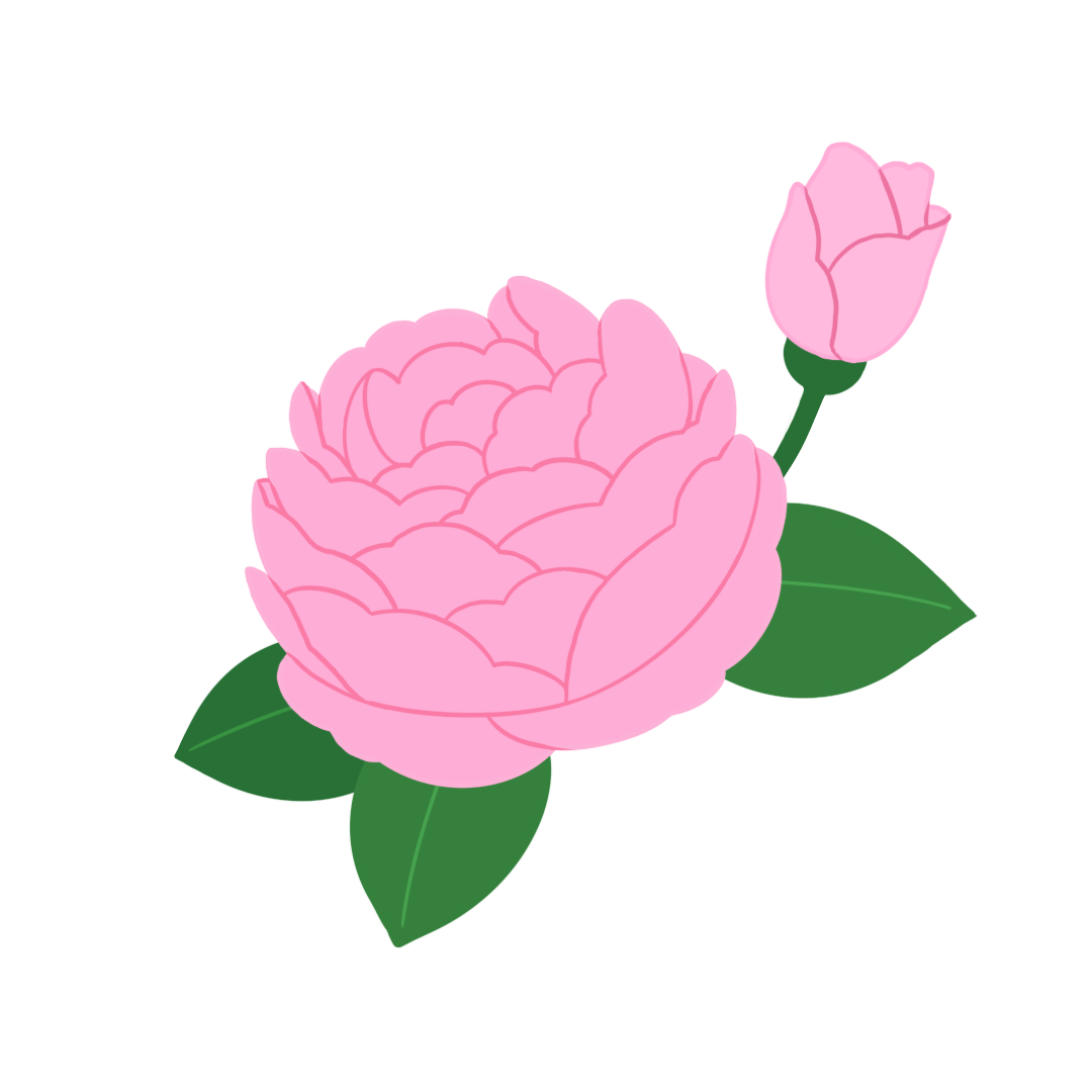 センチフォリアバラ花エキス イメージ画像