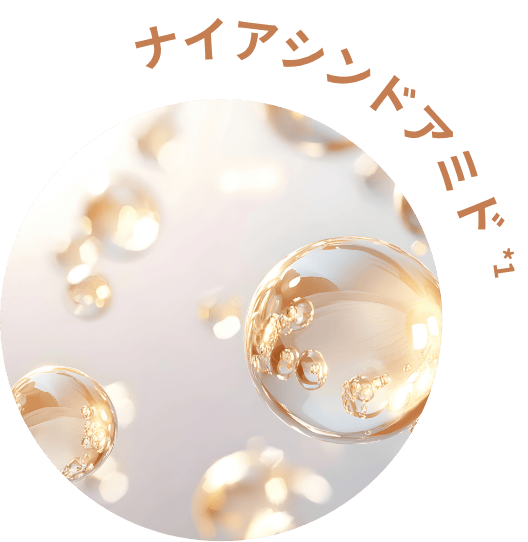 ナインアシンアミド*1